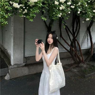 三只老虎海报